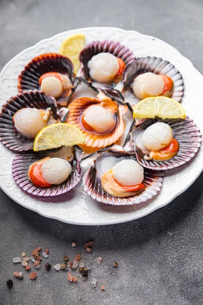 stock image seafood scallop in shell fresh meal snack on the table copy space food background rustic top view 