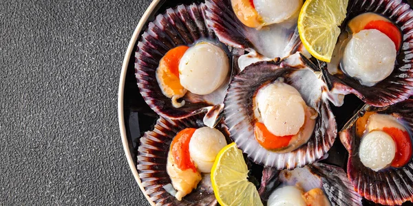 stock image seafood scallop in shell fresh meal snack on the table copy space food background rustic top view 