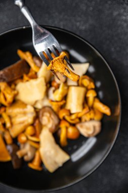 Mantar salatası karışımı beyaz mantar, mantar mantarı, chanterelle mantarı, masa üzerinde atıştırmaya hazır yiyecek fotokopisi, arka plan kırsal manzarası.