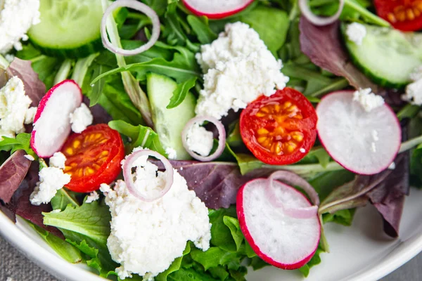 Salade Fromage Feuilles Vertes Légumes Radis Tomate Concombre Repas Nourriture — Photo