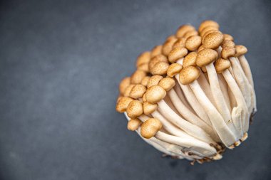 Shimeji kahverengi mantarlı abur cubur masa üzerinde fotokopi uzay gıda arka plan kırsal üst görünüm 