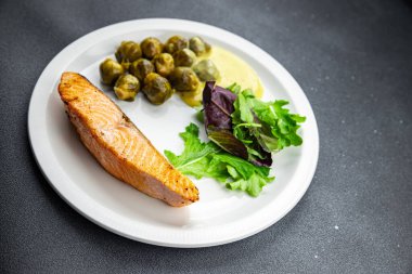 Somon kızartması ve Brüksel lahanası ikinci tabak yemek atıştırmalığı. Arka planda fotokopi alanı arka plan kırsal manzarası.