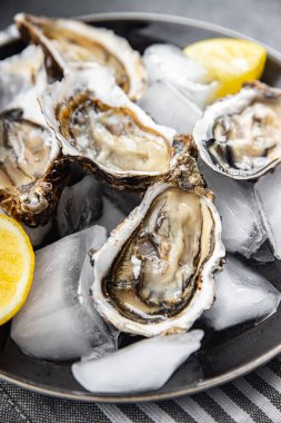 İstiridye deniz ürünleri taze yemek istiridye atıştırmalıklar masada