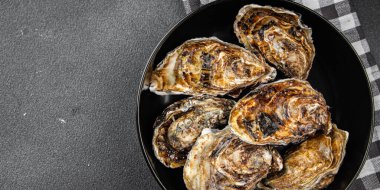 Taze istiridye kabuğu istiridye deniz ürünleri yemek aperatifi masanın üzerinde fotokopi uzayı yiyecek arka plan kırsal manzarası