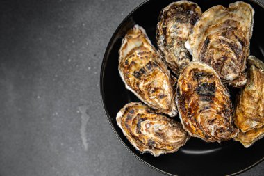 Taze istiridye kabuğu istiridye deniz ürünleri yemek aperatifi masanın üzerinde fotokopi uzayı yiyecek arka plan kırsal manzarası