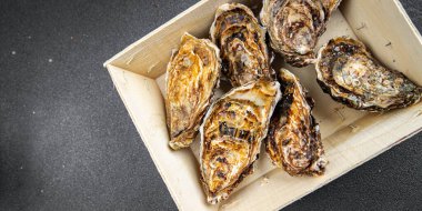 İstiridye kabuğu taze deniz ürünleri istiridye. Yemek atıştırmalığı. Fotokopi masası.