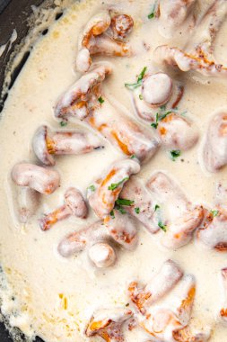 Jülyen mantarı Chanterelles krema sosu aperatif yemek aperatifi masa üzerinde fotokopi uzay yemeği arka plan kırsal üst görüş keto veya paleo diyeti vejetaryen gıda