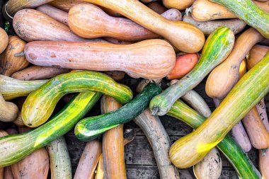 balkabağı taze hasat farklı türde balkabağı abur cuburu açık hava fotokopisi arka plan kırsal manzaralı vejetaryen yiyecekler henüz tanışılmadı