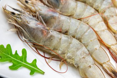 Çiğ karides taze karides taze deniz mahsulü taze sağlıklı yemek aperatif yemek aperatifler masa üzerinde uzay yiyecekleri arka plan fotokopisi kırsal üst görüş vejetaryen diyet yemekleri