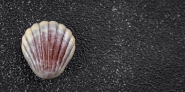 Çikolatalı deniz kabukları tatlı tatlı yemek atıştırmalıkları masada fotokopi uzayı arka plan kırsal manzarası