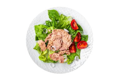 Konserve ton balığı salatası yemek aperatif aperatifler fotokopi masasında yer yiyecek arka plan kırsal manzarası