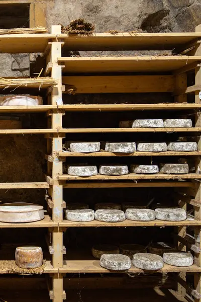 Mahzende yıllanmış peynir yemek için hazır aperatif yemek için sofrada atıştırmalık yiyecekler fotokopi için arka plan kırsal manzarası