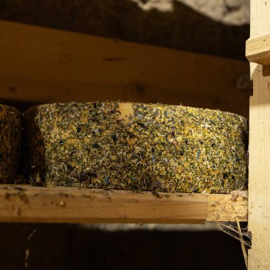 Eski peynir mahzeni aperatifi peynir üretim yemek aperatifi masanın üzerinde fotokopi alanı yiyecek arka plan kırsal üst görünüm