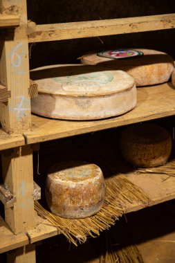 Eski peynir mahzeni aperatifi peynir üretim yemek aperatifi masanın üzerinde fotokopi alanı yiyecek arka plan kırsal üst görünüm