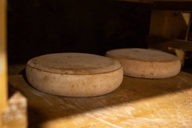 Yıllanmış peynir mahzeni peyniri organik gıda üretim süreci aperatif yemek atıştırmalığı yemek masanın üstünde fotokopi uzayı arka plan kırsal manzarası