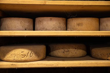 Eski peynir mahzeni ahşap raf aperatif yemek aperatifleri masa üzerinde yenen uzay yiyecekleri arka plan kırsal üst görünüm