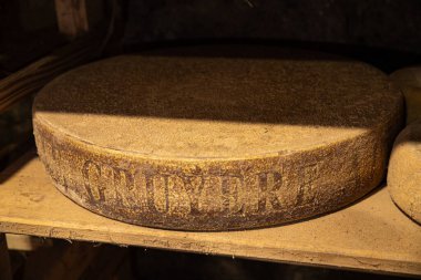 Peynir başlığı mahzeni yemek için hazırdır. Anatural ppetizer pişirir. Masada atıştırmalık şeyler yer.