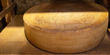 Peynir başlığı mahzeni yemek için hazırdır. Anatural ppetizer pişirir. Masada atıştırmalık şeyler yer.