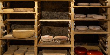 Peynir başlığı mahzeni yemek için hazırdır. Anatural ppetizer pişirir. Masada atıştırmalık şeyler yer.