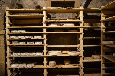 Mahzende yıllanmış peynir yemek için hazır aperatif yemek için sofrada atıştırmalık yiyecekler fotokopi için arka plan kırsal manzarası