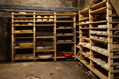 Mahzendeki yıllanmış peynir meze, meze, meze, atıştırmalık şeyler, fotokopi, uzay yemeği arka plan, kırsal üst görüş.