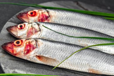 Ringa balığı taze çiğ deniz ürünleri lezzetli, sağlıklı, iştah açıcı, yemek aperatifleri fotokopi masasında yer alan uzay yiyecekleri arka plan kırsal manzaralı Pescetarian diyeti.