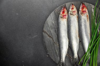 Ringa balığı taze çiğ deniz ürünleri lezzetli, sağlıklı, iştah açıcı, yemek aperatifleri fotokopi masasında yer alan uzay yiyecekleri arka plan kırsal manzaralı Pescetarian diyeti.