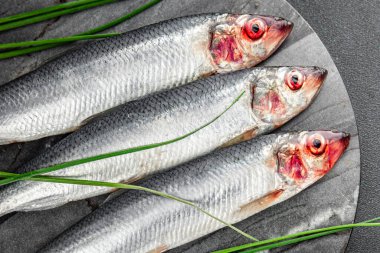 Ringa balığı taze çiğ deniz ürünleri lezzetli, sağlıklı, iştah açıcı, yemek aperatifleri fotokopi masasında yer alan uzay yiyecekleri arka plan kırsal manzaralı Pescetarian diyeti.