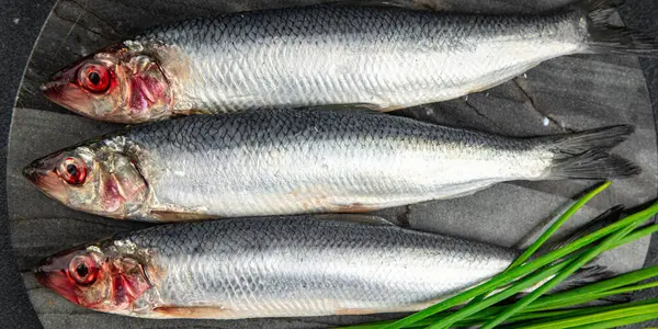 Ringa balığı taze çiğ deniz ürünleri lezzetli, sağlıklı, iştah açıcı, yemek aperatifleri fotokopi masasında yer alan uzay yiyecekleri arka plan kırsal manzaralı Pescetarian diyeti.