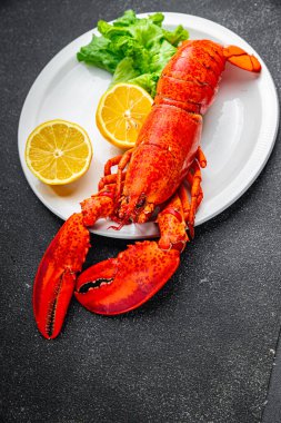 Istakoz taze deniz ürünleri yemek aperatifler yemek aperatifler masada fotokopi uzay yiyecekleri arka plan kırsal üst görünüm