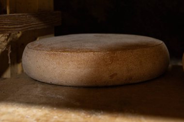 Bodrumda peynir yemek aperatif yemek aperatifi masa üzerinde fotokopi alanı yemek arka plan kırsal üst görünüm