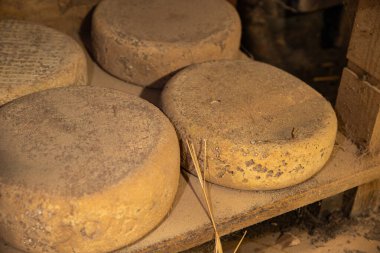 Peynir mahzeni aperatifleri yemek atıştırmalıkları masa üzerinde fotokopi alanı arka plan kırsal üst görünüm