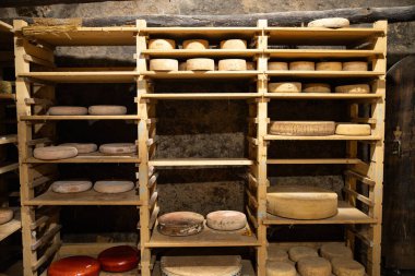 Peynir mahzeni aperatifleri yemek atıştırmalıkları masa üzerinde fotokopi alanı arka plan kırsal üst görünüm