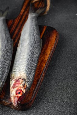 Ringa balığı taze çiğ deniz ürünleri lezzetli aperatif yemek aperatifleri masada fotokopi uzay yiyecekleri arka plan kırsal üst görünüm