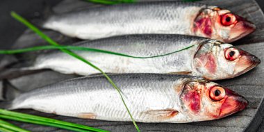 Ringa balığı taze çiğ deniz ürünleri lezzetli aperatif yemek aperatifleri masada fotokopi uzay yiyecekleri arka plan kırsal üst görünüm