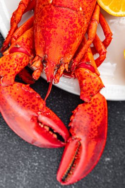 Istakoz taze deniz ürünleri yemek aperatifler yemek aperatifler masada fotokopi uzay yiyecekleri arka plan kırsal üst görünüm