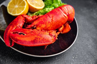 Istakoz taze deniz ürünleri yemek aperatifler yemek aperatifler masada fotokopi uzay yiyecekleri arka plan kırsal üst görünüm