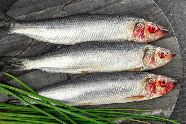 Ringa balığı taze deniz ürünleri lezzetli yemek aperatifleri masada fotokopi uzayı arka plan kırsal manzarası 
