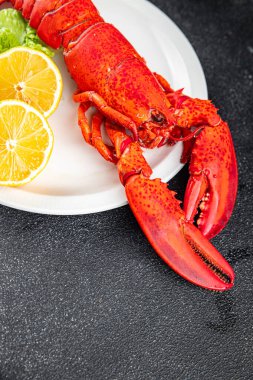 Istakoz taze deniz ürünleri yemek aperatifler yemek aperatifler masada fotokopi uzay yiyecekleri arka plan kırsal üst görünüm