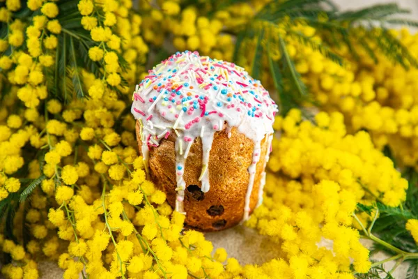 easter cake flower mimosa holiday treat sweet baked easter eggs holiday fresh Cooking meal food snack on the table copy space food background rustic top view