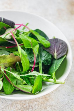 Salata karışımı mikro yeşil, sulu çerez bırakır. Masada sağlıklı yemek pişirir. Arka plandaki yiyeceklerin fotokopisini çeker.
