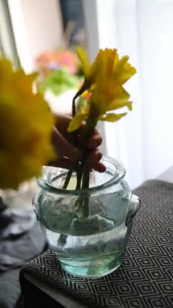 Gele Narcissen Bloemen Geplaatst Een Bloem Vaas Mooi Cadeau Boeket — Stockvideo