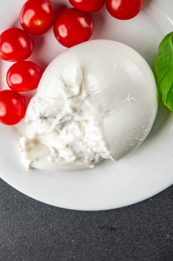 Burrata peynirli bufalo burrata aperatifler masada yemek atıştırmalıkları fotokopi uzayı arka plan kırsal manzarası 