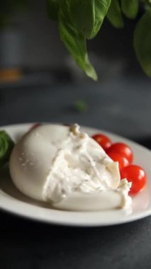 Burrata peynirli bufalo burrata aperatifler masada yemek atıştırmalıkları fotokopi uzayı arka plan kırsal manzarası 