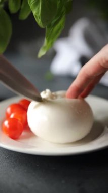 Burrata peynirli bufalo burrata aperatifler masada yemek atıştırmalıkları fotokopi uzayı arka plan kırsal manzarası 