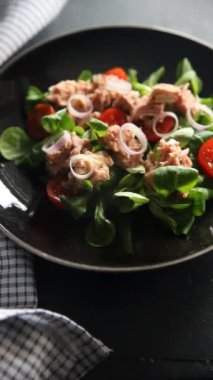 Ton balığı salatası, domates, yeşil yaprak marul sağlıklı yemek aperatifi yemek aperatifleri fotokopi odası arka plan kırsal manzarası 