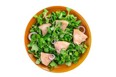 Sebze salatası durian taze yemek aperatifi masa başı yiyecek arka planında atıştırmalık. 