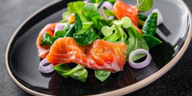 somon salatası aperatifi yemek aperatifi masa üzerinde fotokopi uzay yemeği arka plan kırsal üst görüş keto veya paleo diyet vejetaryen gıda