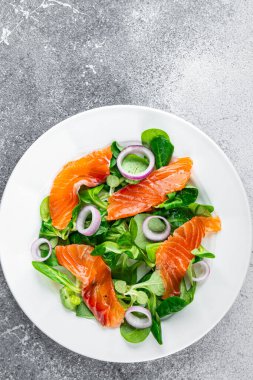 somon salatası aperatifler masada taze yemek fotokopi alanı arka plan kırsal manzarası 