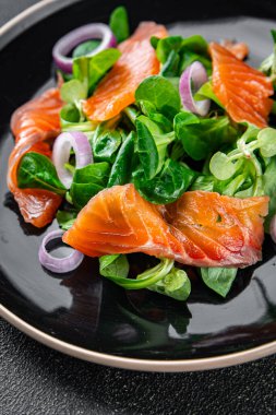 Salata somonu aperatifi masaya yemek abur cubur fotokopisi uzay yemeği arka plan kırsal üst görüş keto veya paleo diyet vejetaryen gıda